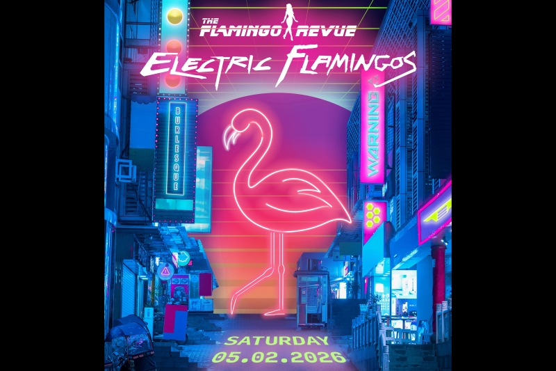 THE FLAMINGO REVUE Presents:  Electric Flamingos - VIP Table for 4